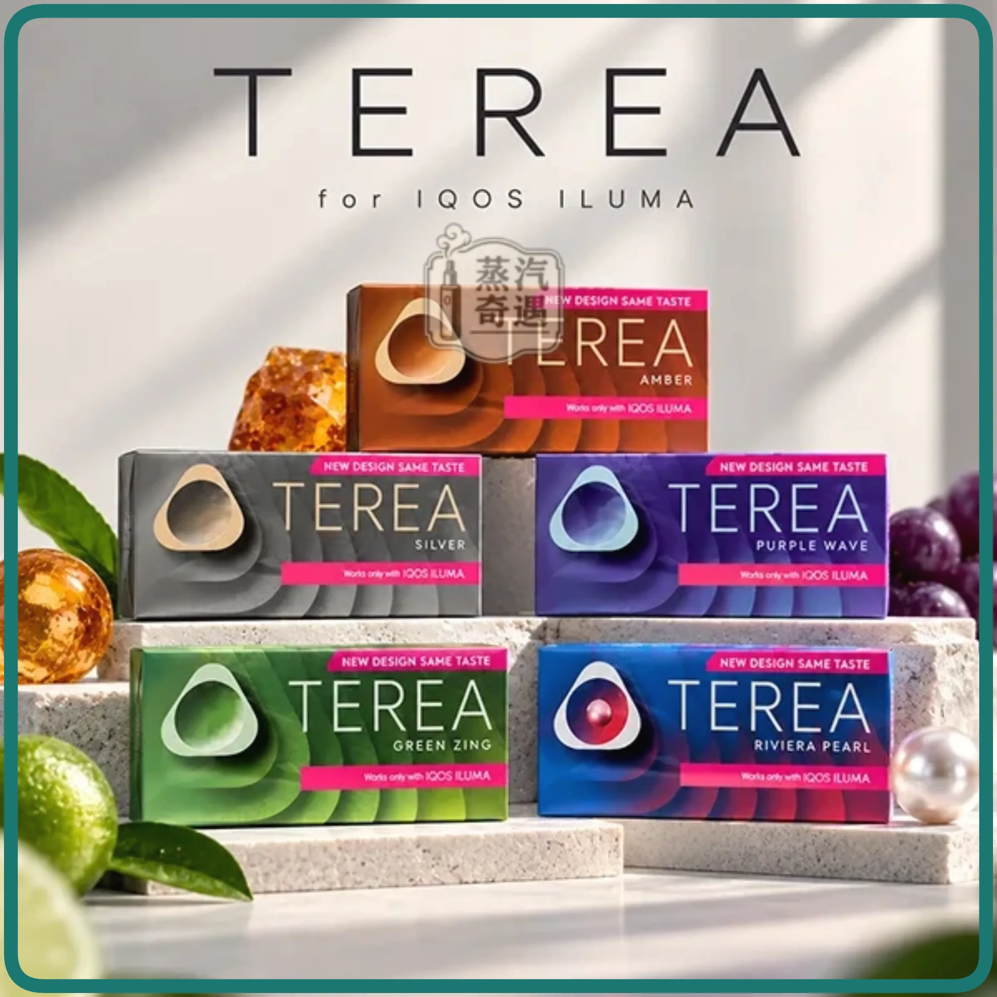 韓版 TEREA 煙彈 15種口味 IQOS ILUMA 專用 韓國原裝進口 新舊包裝隨機